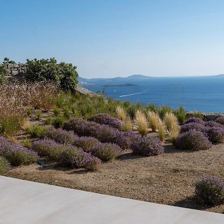 Zelia B&B & Villa Mykonos Town 외부 사진
